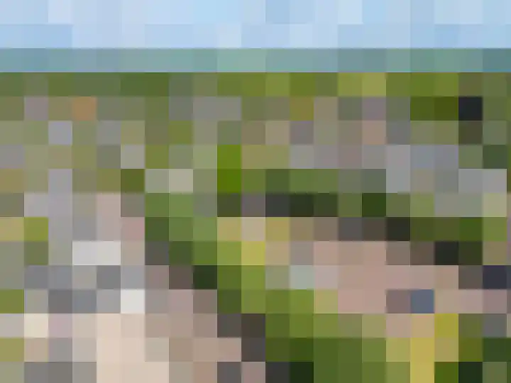 Zegerijstraat 2 Brummen thumbnail 28