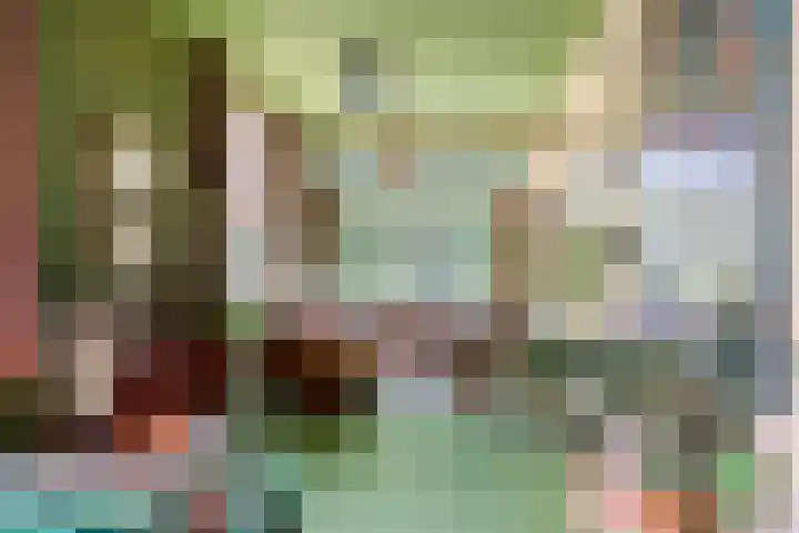 Zegerijstraat 22 Brummen thumbnail 10