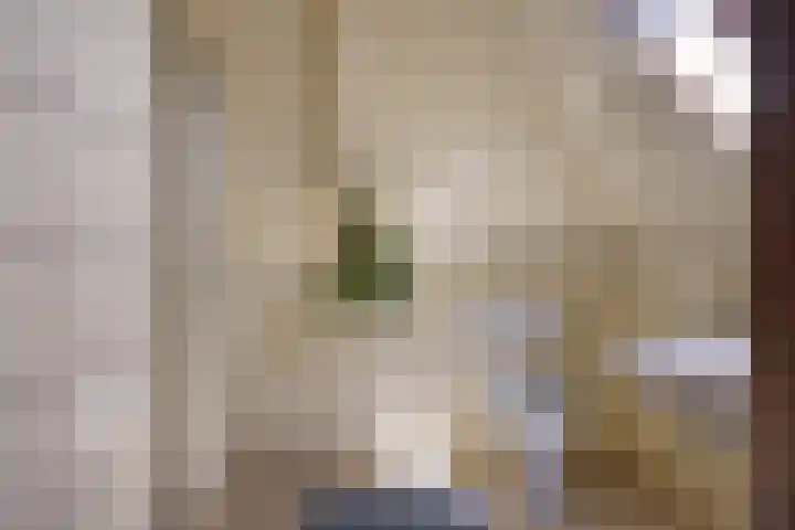 Zegerijstraat 22 Brummen thumbnail 32