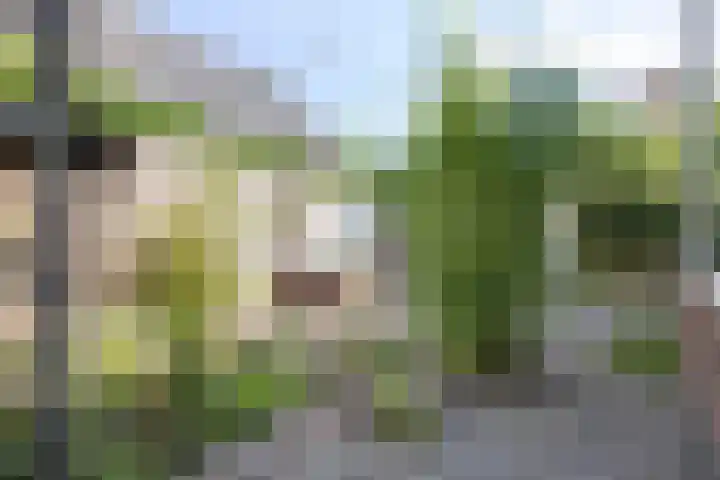 Zegerijstraat 22 Brummen thumbnail 39