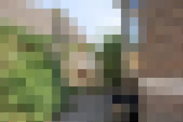 Zegerijstraat 22 Brummen thumbnail 41