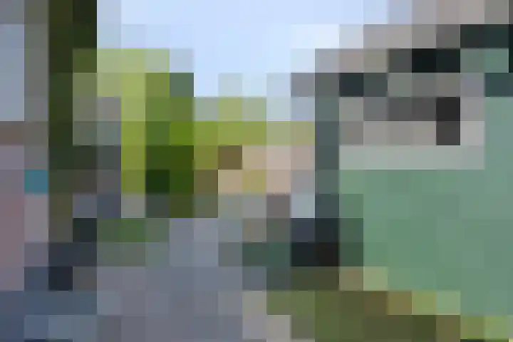 Zegerijstraat 22 Brummen thumbnail 42