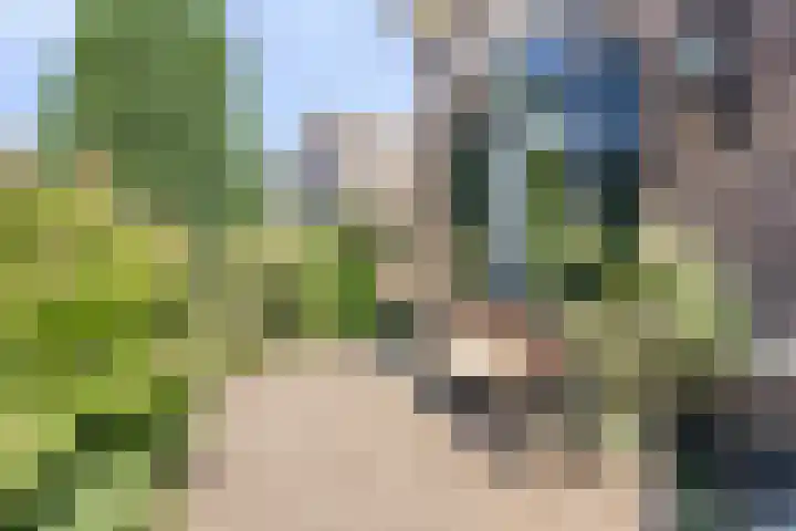 Zegerijstraat 22 Brummen thumbnail 44