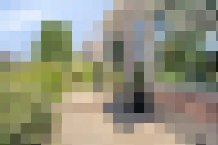 Zegerijstraat 22 Brummen thumbnail 46