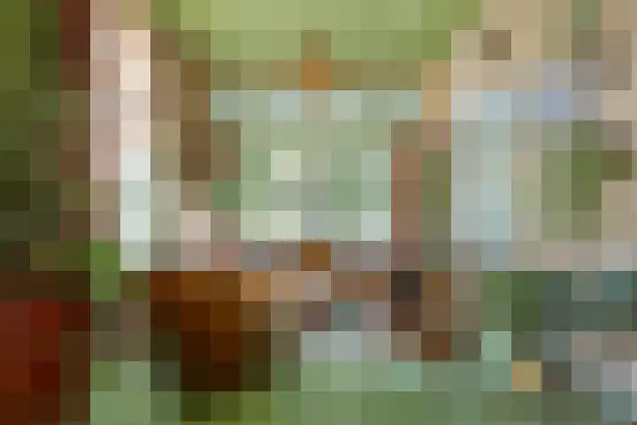 Zegerijstraat 22 Brummen thumbnail 5