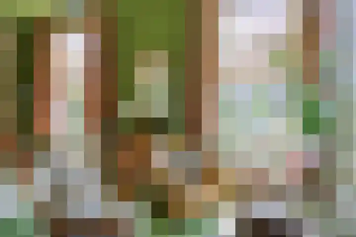Zegerijstraat 22 Brummen thumbnail 6