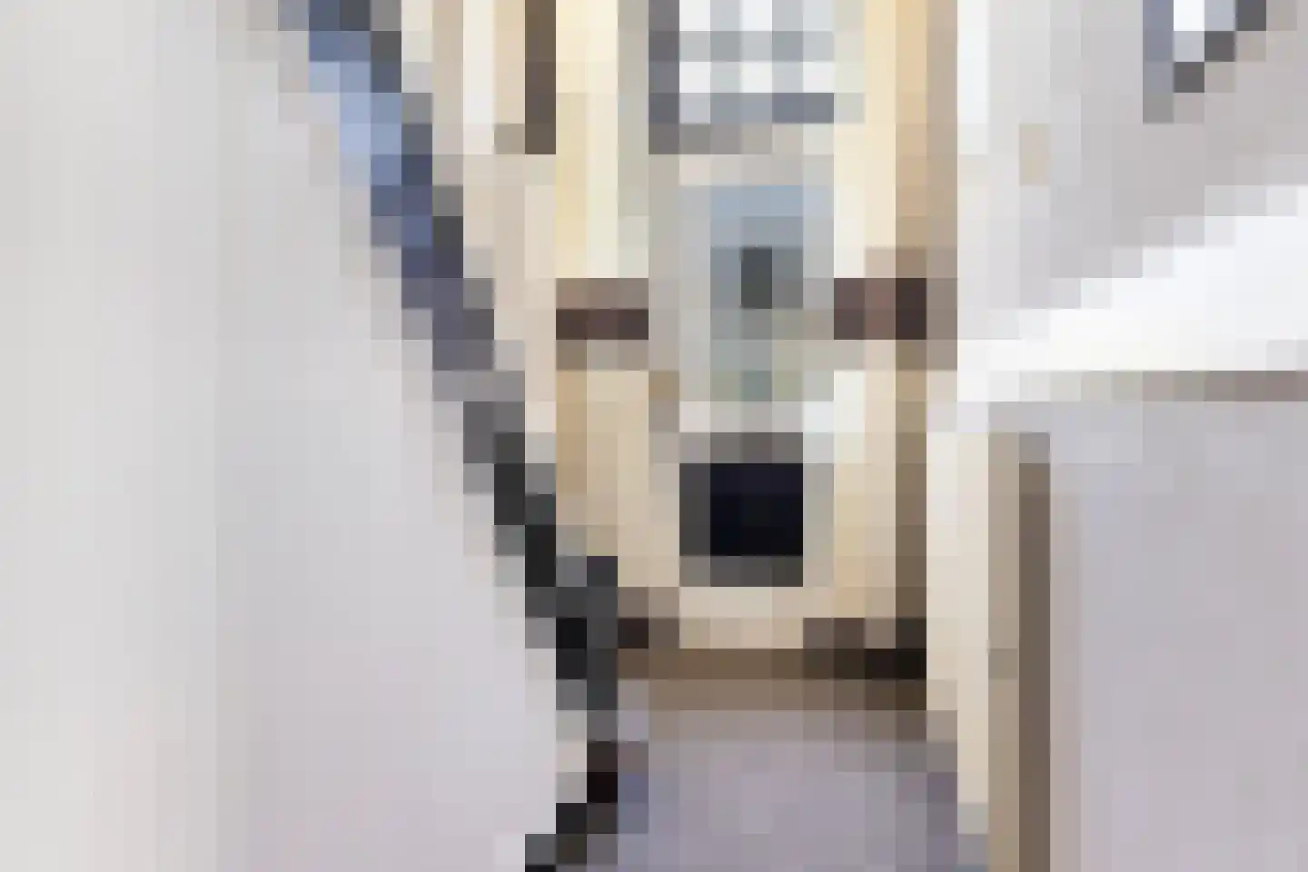 Zegerijstraat 28 Brummen thumbnail 17