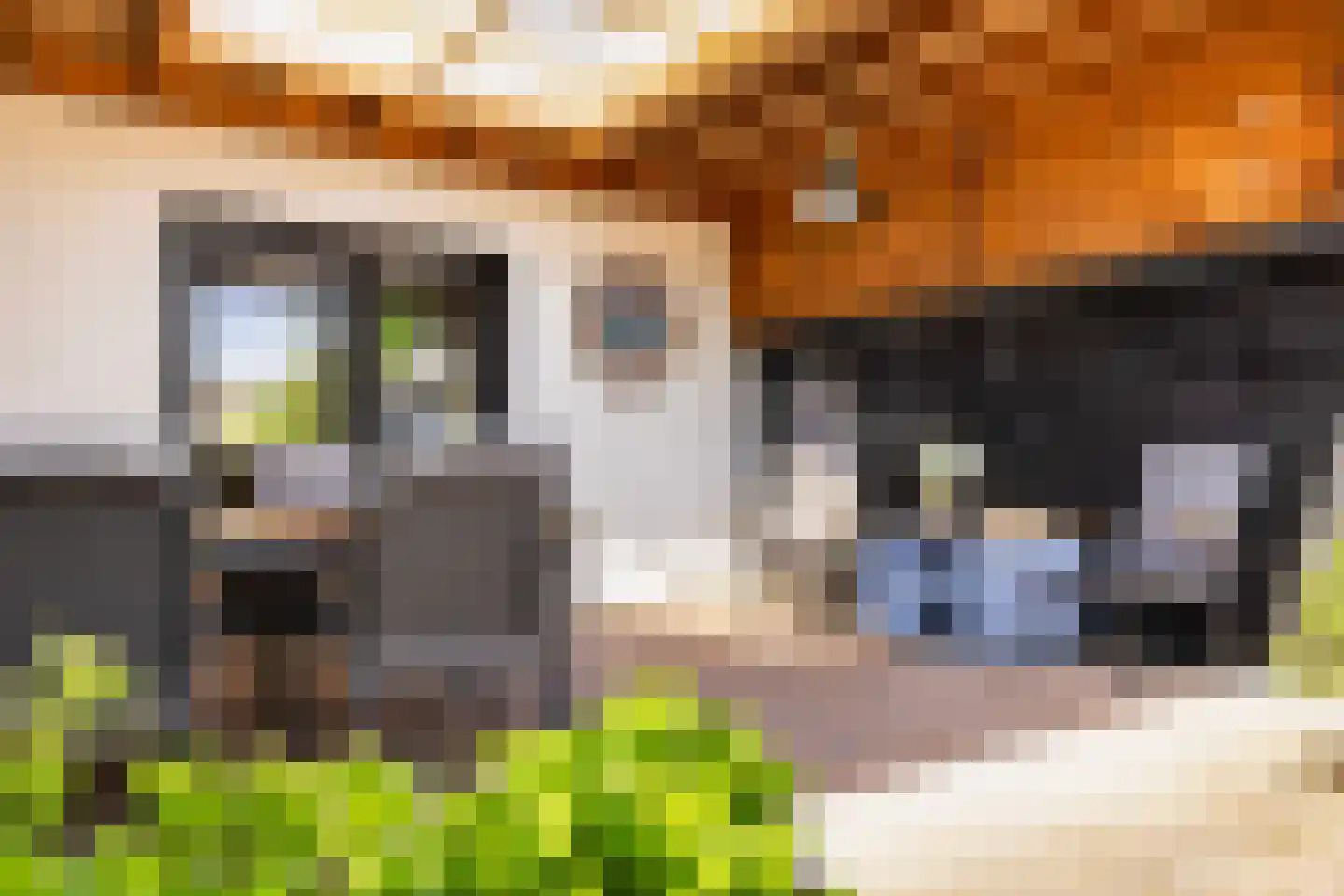 Zegerijstraat 28 Brummen thumbnail 21