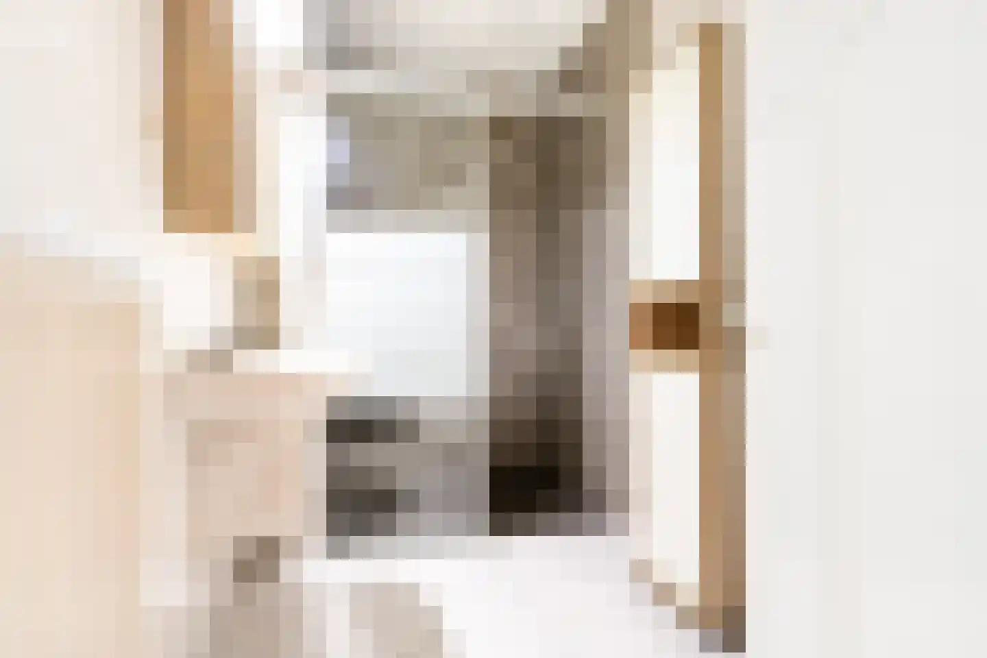 Zegerijstraat 28 Brummen thumbnail 38