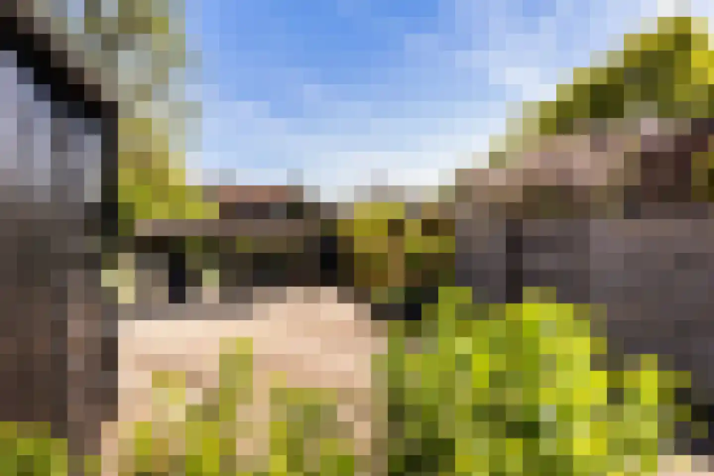 Zegerijstraat 28 Brummen thumbnail 4