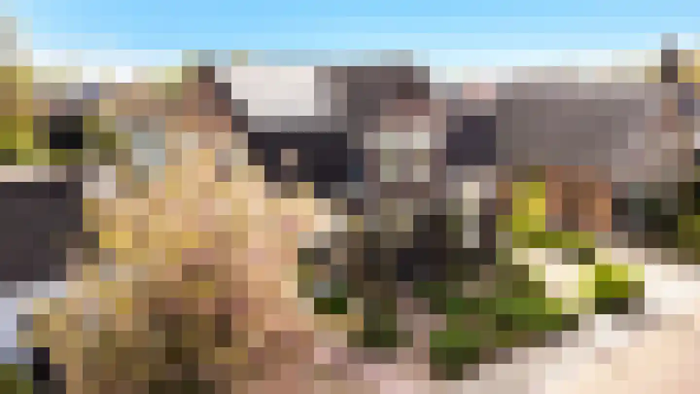 Zegerijstraat 28 Brummen thumbnail 50