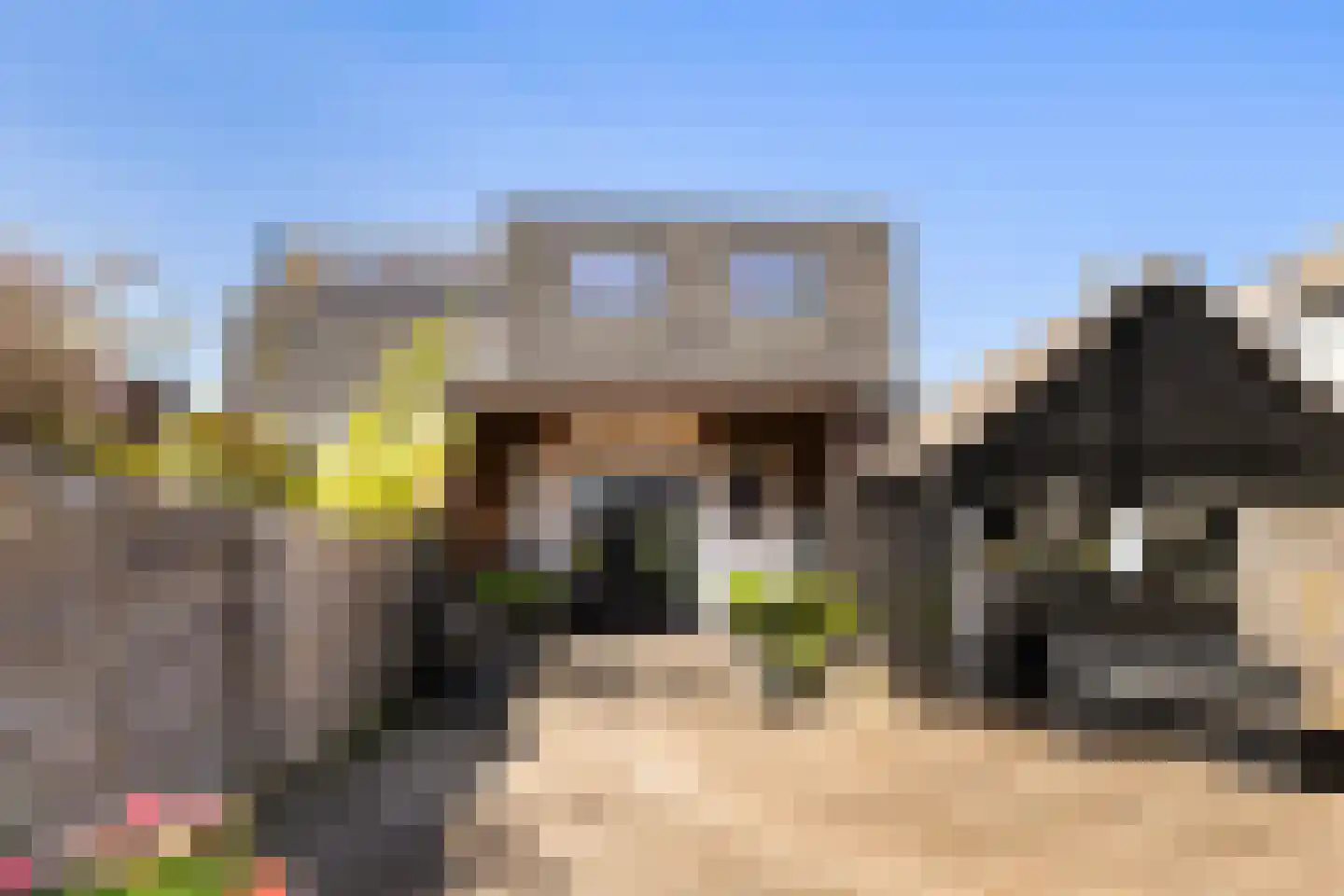 Zegerijstraat 28 Brummen thumbnail 51