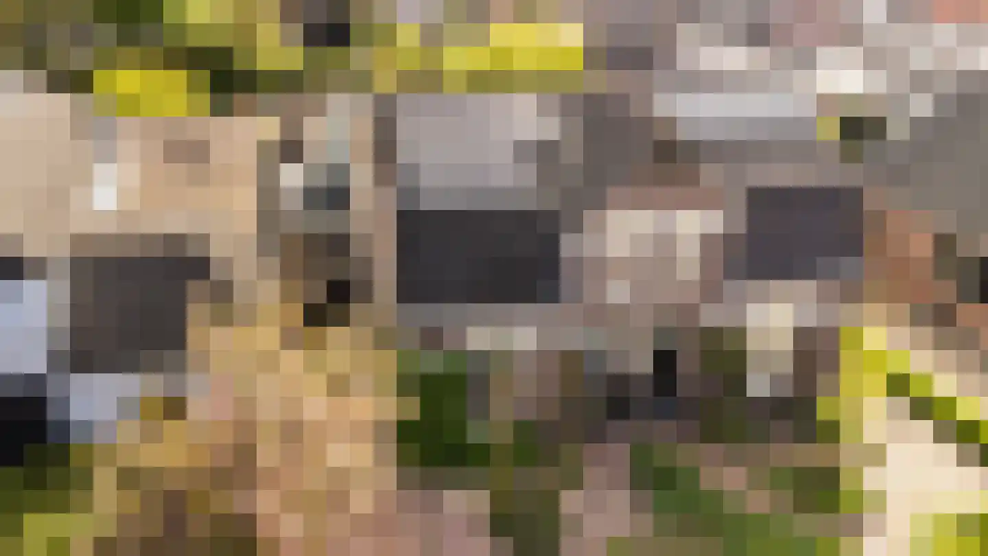 Zegerijstraat 28 Brummen thumbnail 53