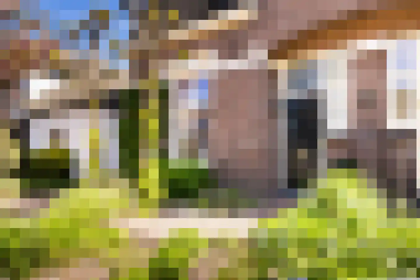 Zegerijstraat 28 Brummen thumbnail 59