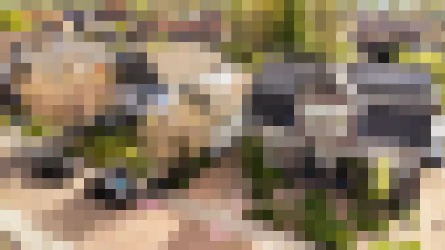 Zegerijstraat 28 Brummen thumbnail 6