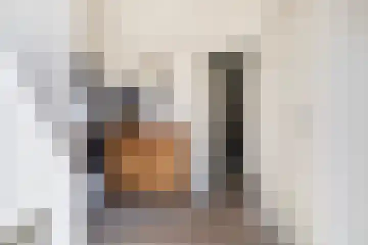 Zegge 1 A Buitenpost thumbnail 10