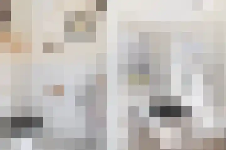 Zegge 1 A Buitenpost thumbnail 11