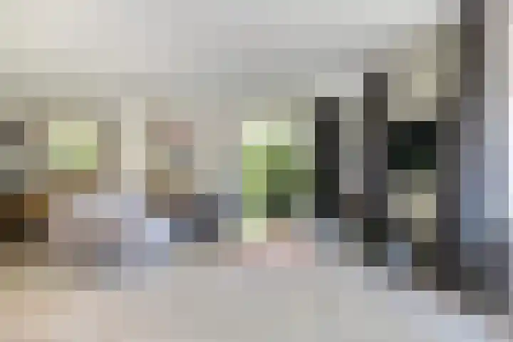 Zegge 1 A Buitenpost thumbnail 12