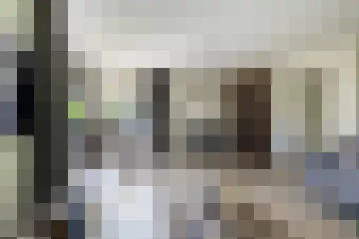 Zegge 1 A Buitenpost thumbnail 14