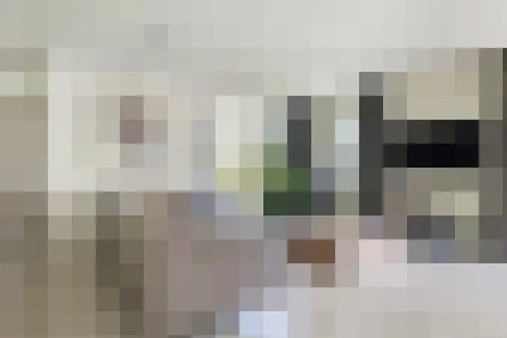 Zegge 1 A Buitenpost thumbnail 15