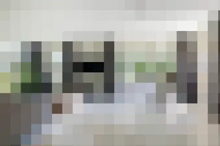 Zegge 1 A Buitenpost thumbnail 16