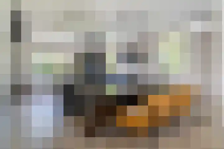 Zegge 1 A Buitenpost thumbnail 18