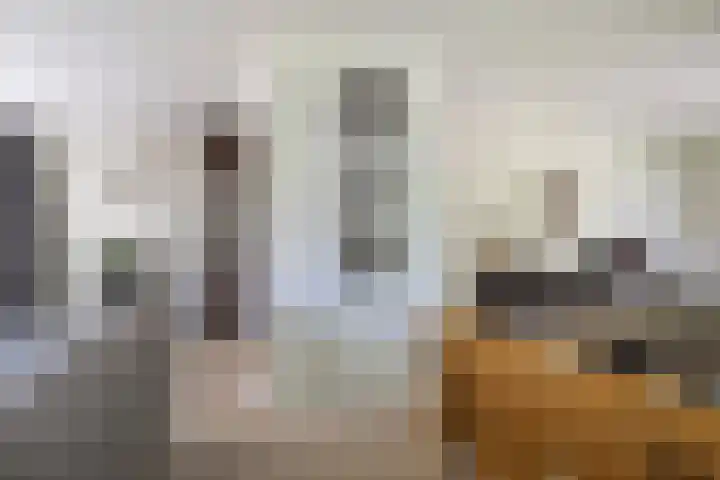 Zegge 1 A Buitenpost thumbnail 20