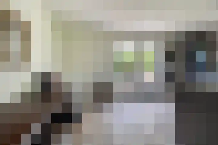 Zegge 1 A Buitenpost thumbnail 22