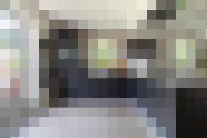 Zegge 1 A Buitenpost thumbnail 23