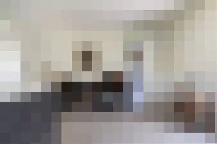 Zegge 1 A Buitenpost thumbnail 28