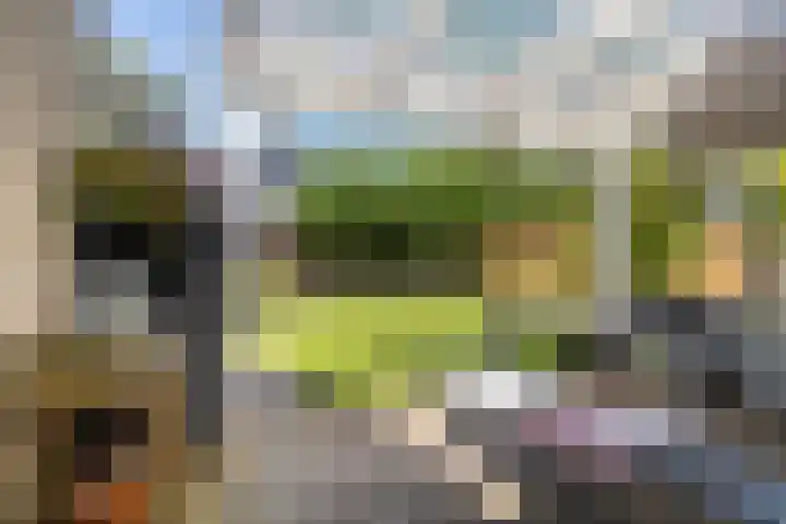 Zegge 1 A Buitenpost thumbnail 30