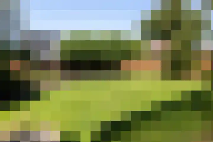 Zegge 1 A Buitenpost thumbnail 33