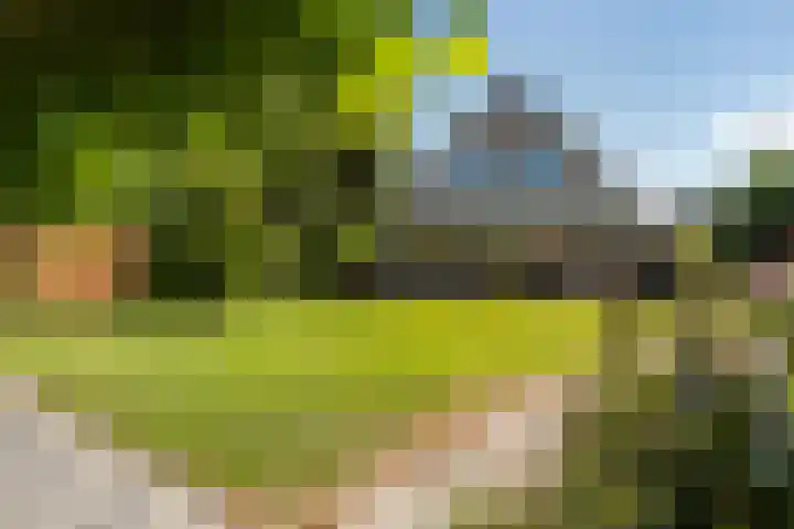 Zegge 1 A Buitenpost thumbnail 34