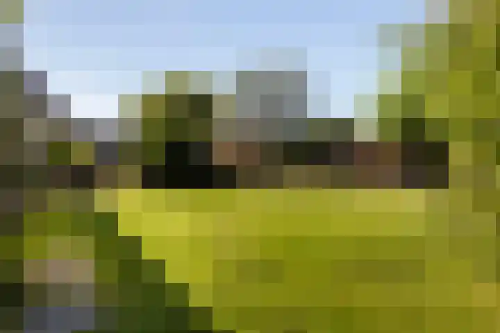 Zegge 1 A Buitenpost thumbnail 35