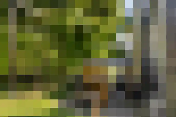 Zegge 1 A Buitenpost thumbnail 36