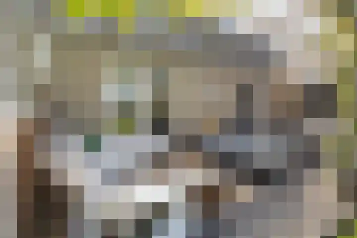 Zegge 1 A Buitenpost thumbnail 37