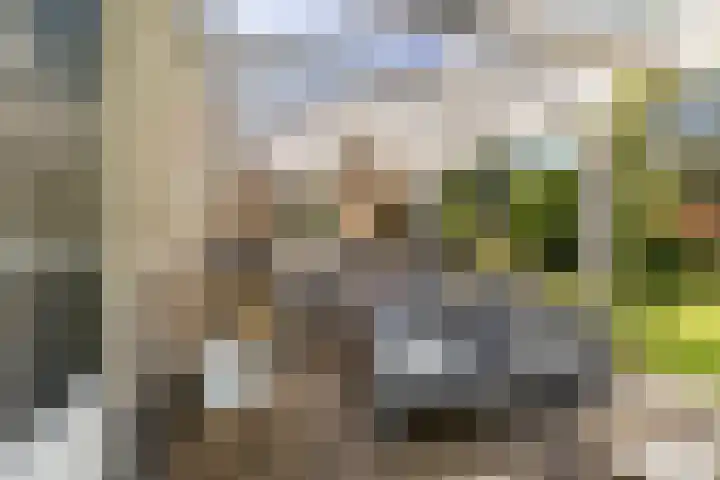 Zegge 1 A Buitenpost thumbnail 38