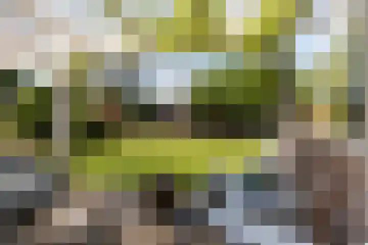 Zegge 1 A Buitenpost thumbnail 4