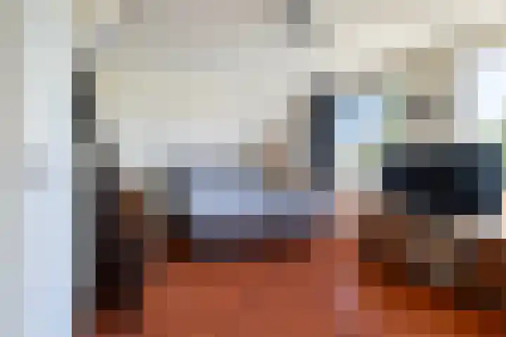 Zegge 1 A Buitenpost thumbnail 41