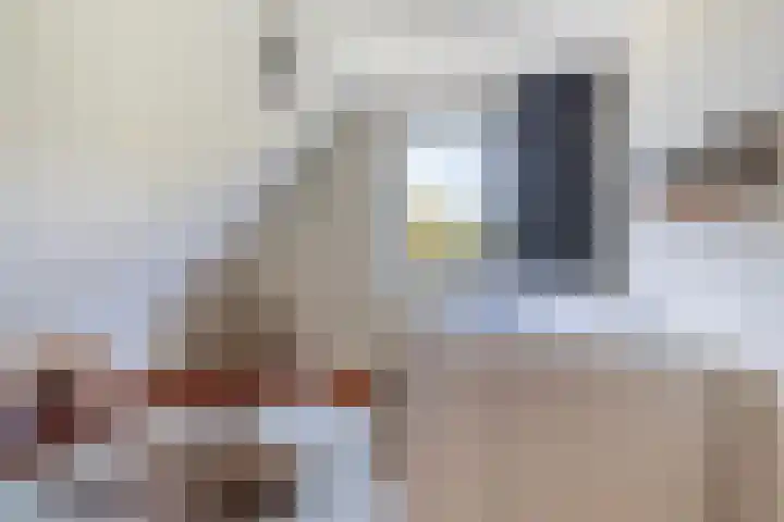 Zegge 1 A Buitenpost thumbnail 46