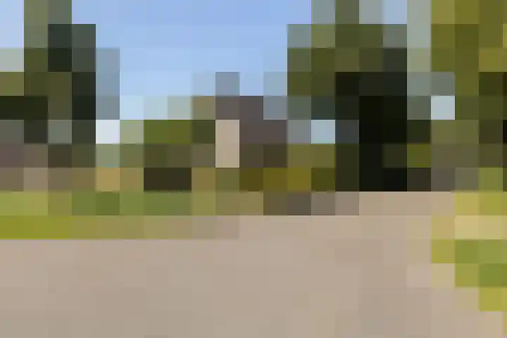 Zegge 1 A Buitenpost thumbnail 5
