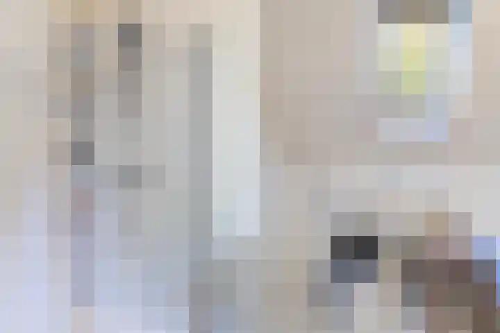 Zegge 1 A Buitenpost thumbnail 50