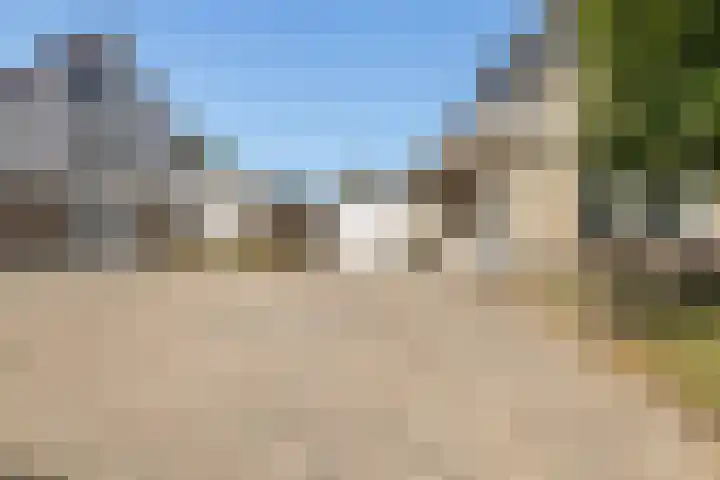 Zegge 1 A Buitenpost thumbnail 52