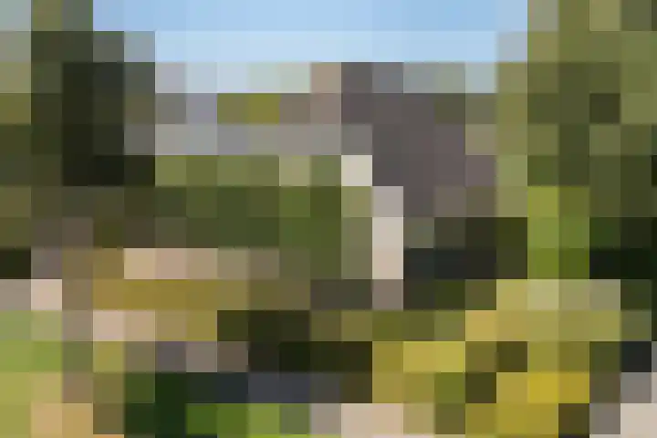 Zegge 1 A Buitenpost thumbnail 53