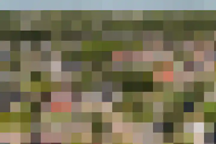 Zegge 1 A Buitenpost thumbnail 54