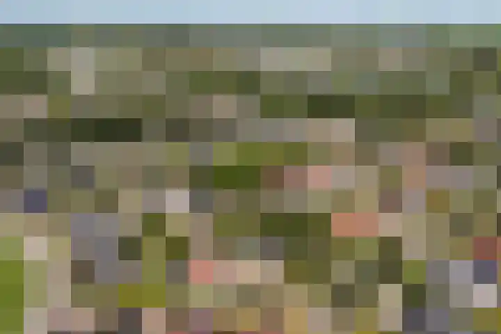 Zegge 1 A Buitenpost thumbnail 57
