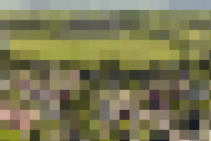 Zegge 1 A Buitenpost thumbnail 58