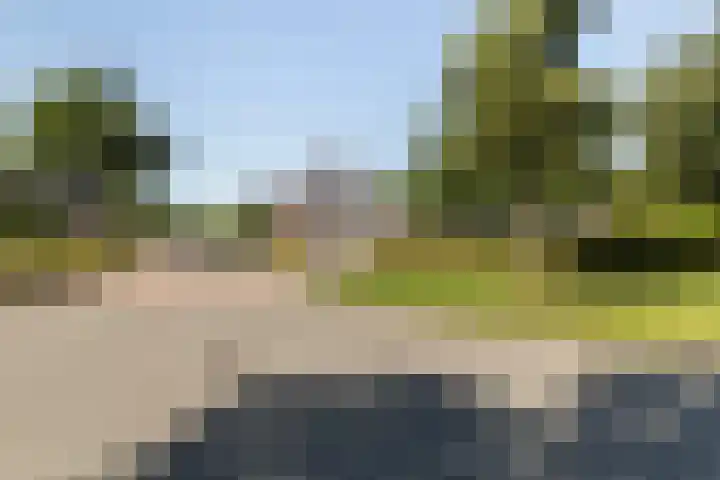 Zegge 1 A Buitenpost thumbnail 6