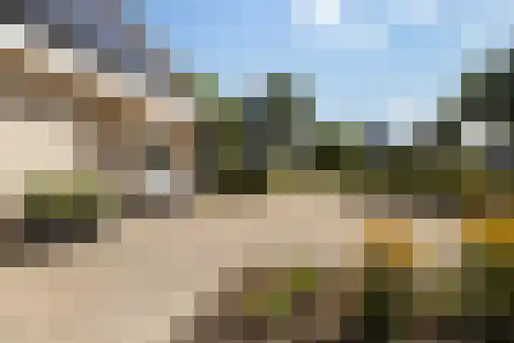 Zegge 1 A Buitenpost thumbnail 7