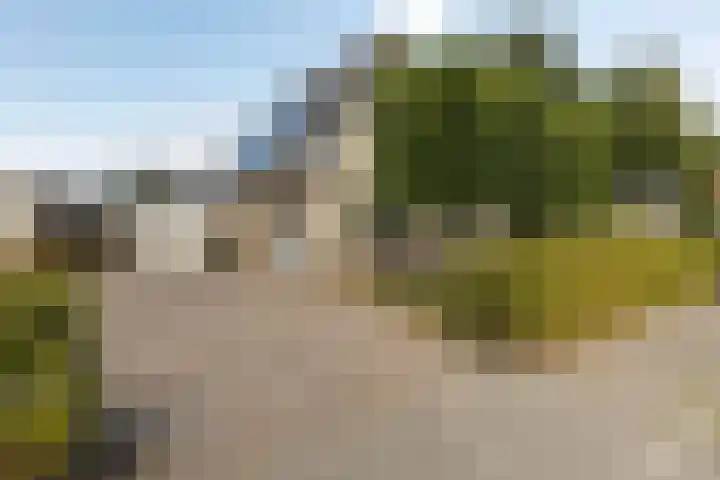 Zegge 1 A Buitenpost thumbnail 8